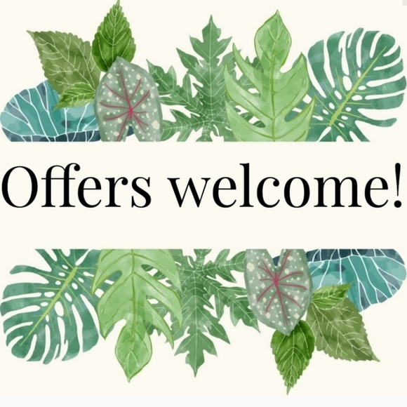 CHIC SPRING TOP - Picture 7 of 8